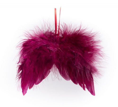 402936 FEATHER ANGELWINGS CLARET