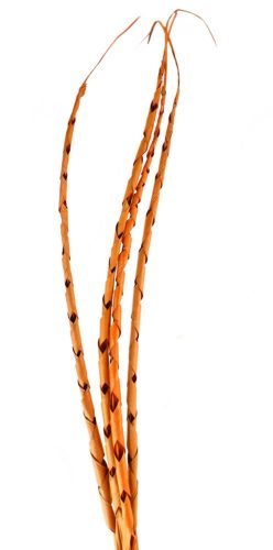 DECORATION TROPICAL LEAVE, SPIRAL SHAPED, SET OF 4, TERRACOTTA