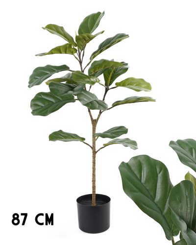 567340 FICUSFA 2ÁG ZÖLD         87