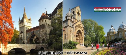METAL FRIDGE MAGNET, VAJDAHUNYAD CASTLE
