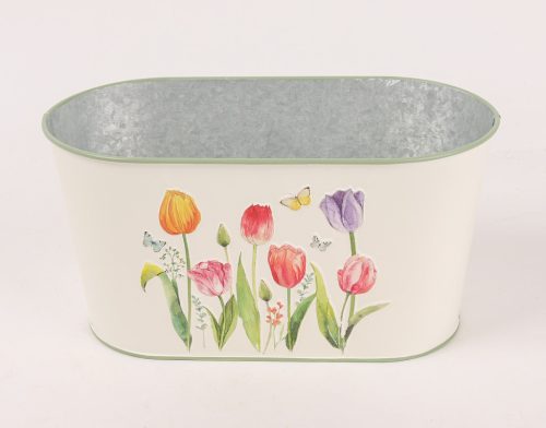 BÁD.KASPÓ OVÁL TULIPÁN23*12