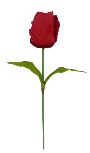 TULIPÁN ÓRIÁS PIROS  16*115