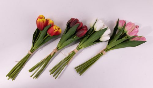 CSOKOR TULIPÁN 7FEJ 4S