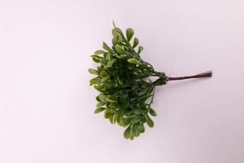 PICK BUXUS ZÖLD          17