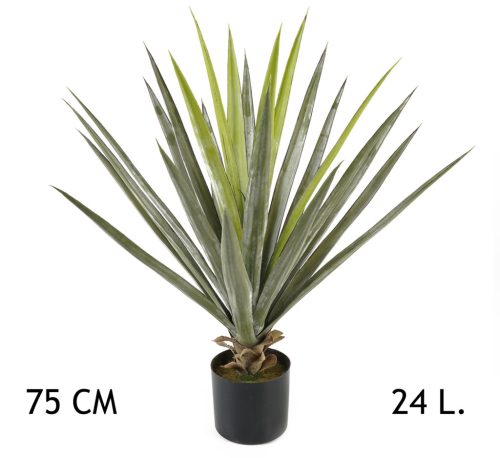 YUKKA ZÖLD 24LEVÉL     75CM