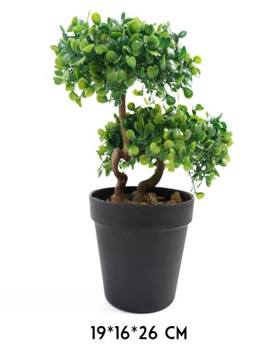 K567316 FA BONSAI+CSER.ZÖLD19*16*26