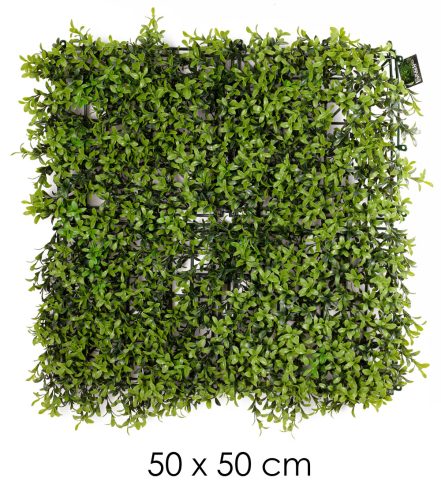 K569064 BUXUS PANEL ZÖLD    UV50*50