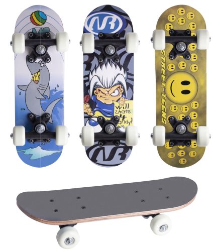 SKATEBOARD PVC SET OF 2