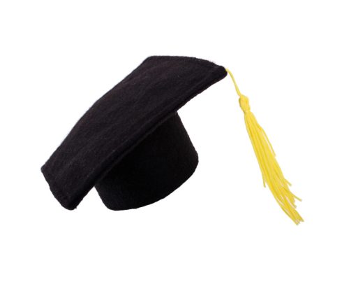FELT GRADUATION CAP