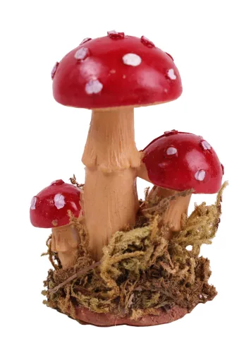 POLIREZIN, GOMBA, PIROS PÖTTYÖS