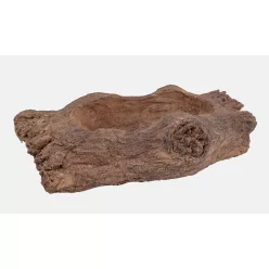 KÜLTÉRI KASPÓ, BONSAI, FATÖRZS MINTÁJÚ