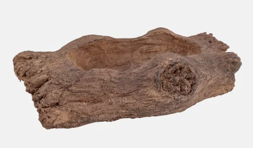 KÜLTÉRI KASPÓ, BONSAI, FATÖRZS MINTÁJÚ