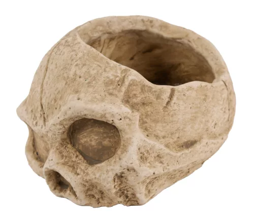 BETON KASPÓ, KOPONYA ALAKÚ, BARNA