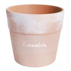 KERÁMIA KASPÓ, VERONA, LEVENDULA FELIRAT, TERRAKOTTA
