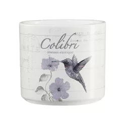 KERÁMIA KASPÓ, VINTAGE ANIMALS, KOLIBRI