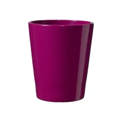 KERÁMIA ORCHIDEA KASPÓ, MERINA CANDY, FÉNYES SZEDER
