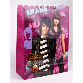DISNEY PAPÍRTASAK CAMP ROCK - SHANE