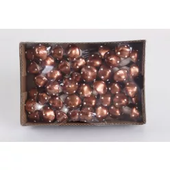 FOAM GOMBA*60 BRONZ       2