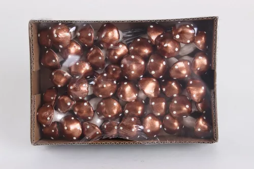 FOAM GOMBA*60 BRONZ       2