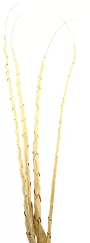 TRÓP.LEV.*4 SPIRÁL FEHÉR120