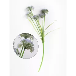 MŰVIRÁG CSOKOR AGAPANTHUS - SZERELEMVIRÁG