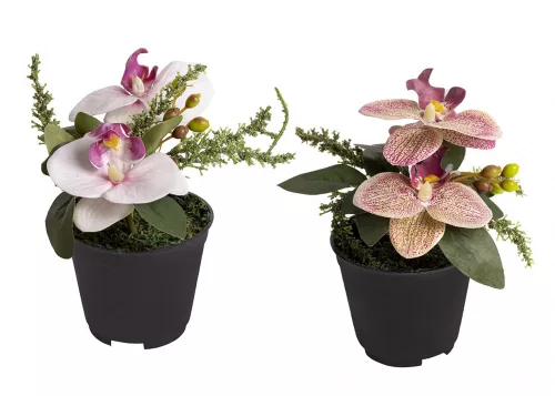 MŰVIRÁG, CSEREPES, ORCHIDEA, 2 VIRÁG