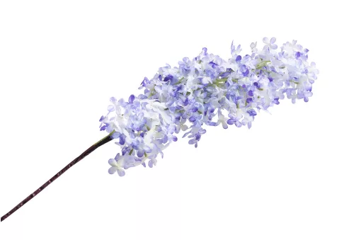 ORGONA LILA/KÉK       100CM