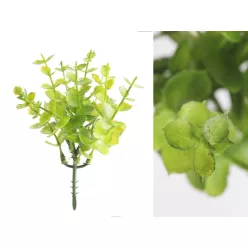 MŰVIRÁG, PICK, EUCALYPTUS, ZÖLD