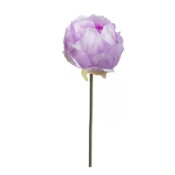 MŰVIRÁG, PEONIA SZÁLAS, LILA