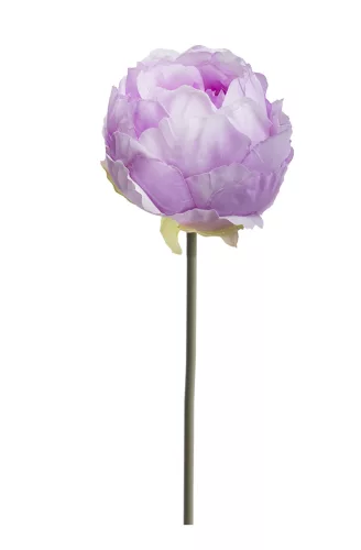 MŰVIRÁG, PEONIA SZÁLAS, LILA