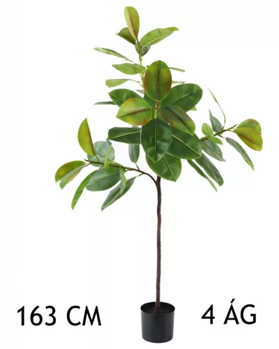 FIKUSZFA 4 ÁG ZÖLD     163CM