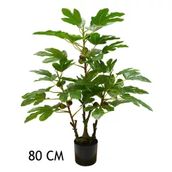 FÜGEFA   80CM
