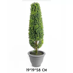 BONSAI FA, CSERÉPPEL, GYÓGYNÖVÉNYES, ZÖLD