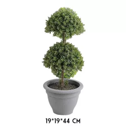 BONSAI FA, CSERÉPPEL, GYÓGYNÖVÉNYES, ZÖLD