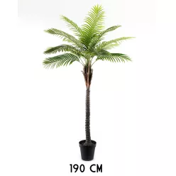 PÁLMAFA, CSERÉPPEL, ZÖLD