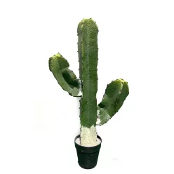 KAKTUSZ SAGUARO, CSERÉPPEL, ZÖLD