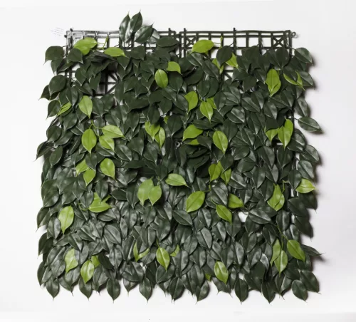 MŰANYAG ZÖLDFAL, FICUS, UV ÁLLÓ