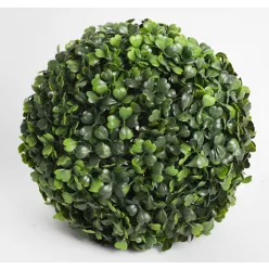 BUXUS GÖMB, ZÖLD