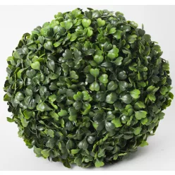 BUXUS GÖMB, ZÖLD