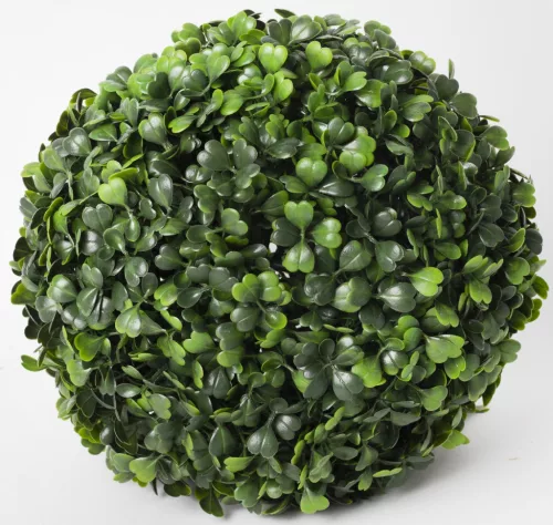 BUXUS GÖMB, ZÖLD