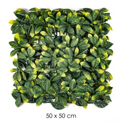 LEVÉLKOCKA   50CMX50CM