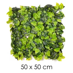 POTHOS KOCKA, ZÖLD