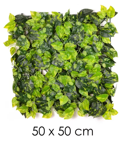 POTHOS KOCKA, ZÖLD