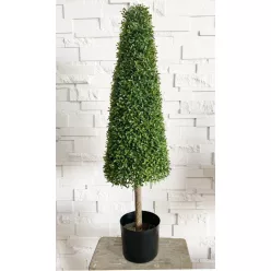 MŰNÖVÉNY, BUXUS FA, KÚP ALAKÚ, CSERÉPPEL, UV-ÁLLÓ