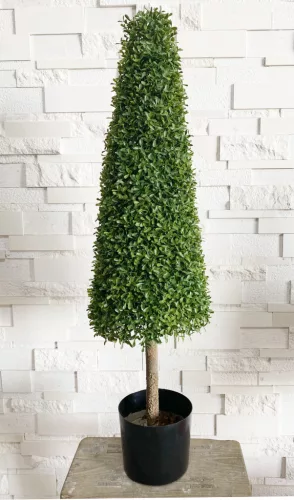 MŰNÖVÉNY, BUXUS FA, KÚP ALAKÚ, CSERÉPPEL, UV-ÁLLÓ