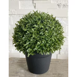 MŰNÖVÉNY, BUXUS, GÖMB ALAKÚ, CSERÉPPEL, UV-ÁLLÓ