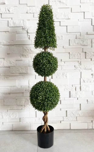 MŰNÖVÉNY, BUXUS FA, KÚP ÉS GÖMB ALAKÚ, CSERÉPPEL, UV-ÁLLÓ