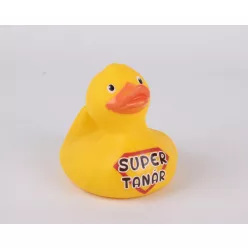 MŰANYAG GUMIKACSA, SUPER TANÁR FELIRAT