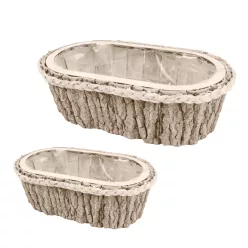   FA KASPÓ SZETTBEN, 2 DARABOS, OVÁLIS, BÉLELT, SZÜRKE MOSOTT KÉREG