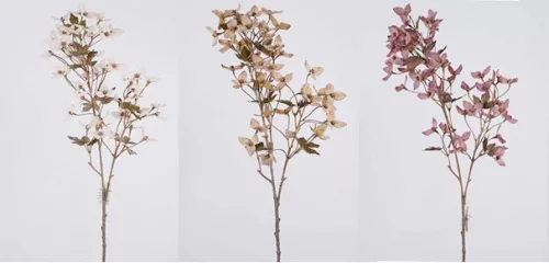 BOUGAINVILLEA 50V.7L.3S90CM
